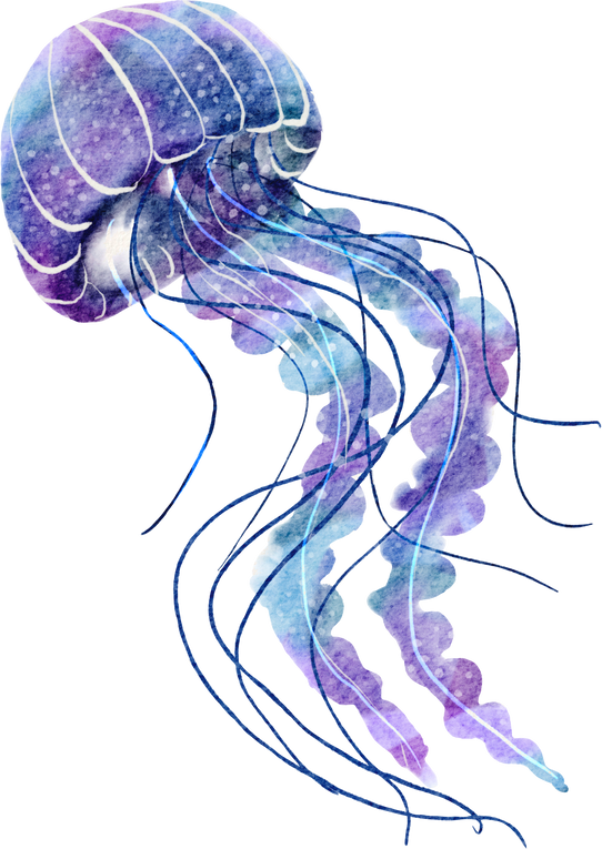 Jellyfish Watercolor,Marine Life