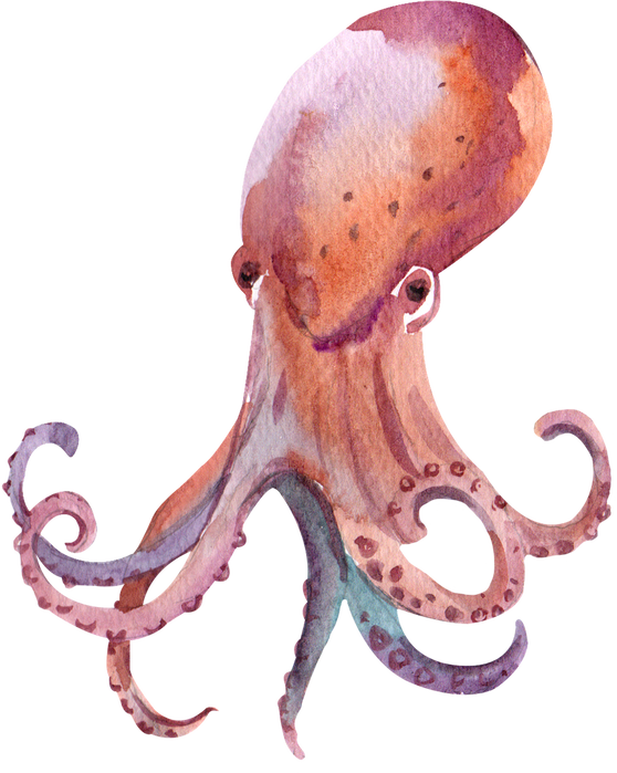 Octopus Watercolor Art