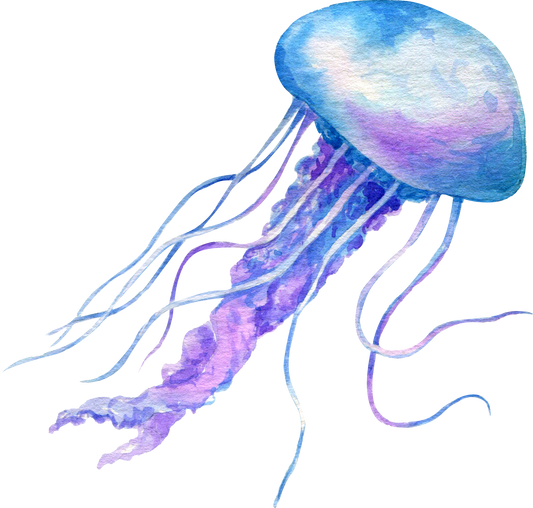 Watercolor Jellyfish Illustration