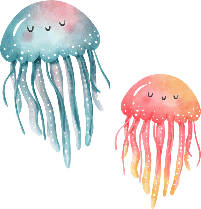 jellyfish