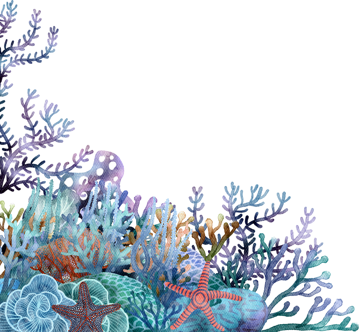 under ocean life element with watercolor painted , Coral ree