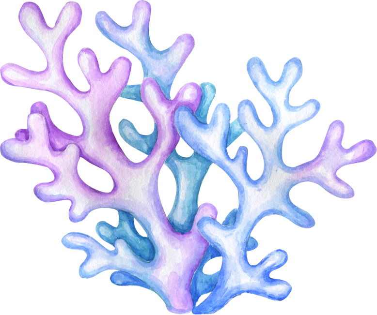 Watercolor Corals Illustration