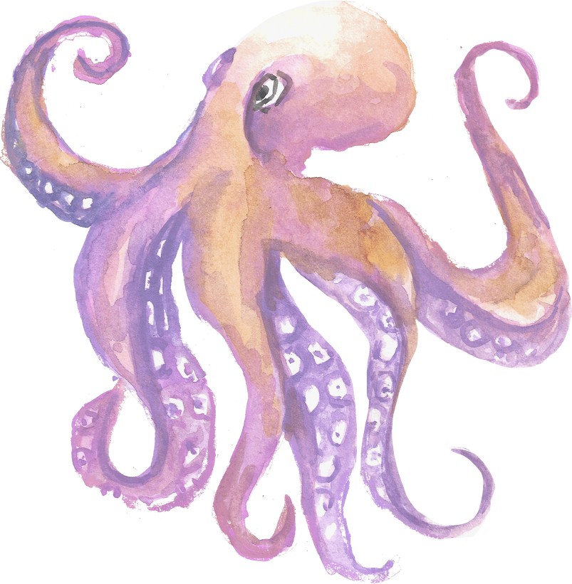 octopus watercolor ocean animal