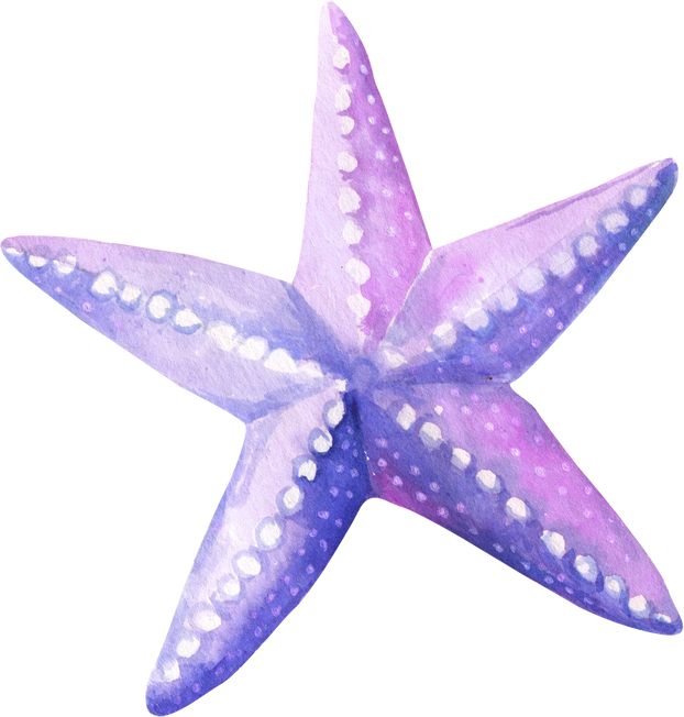 Watercolor Starfish Illustration