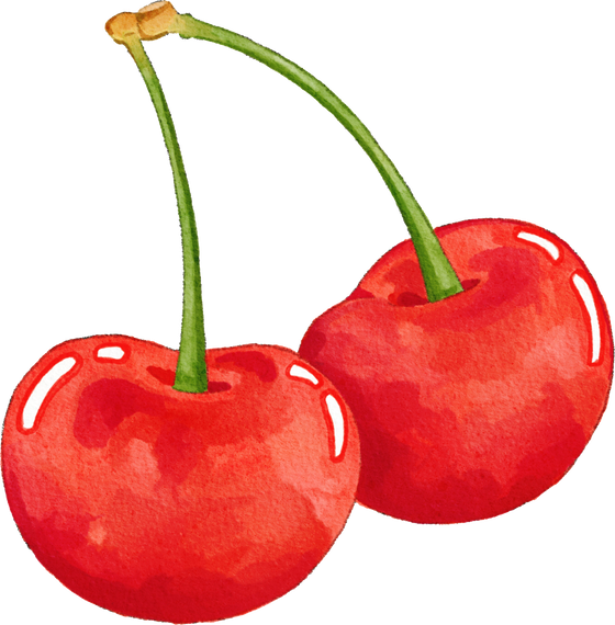 Red Cherries Illustration