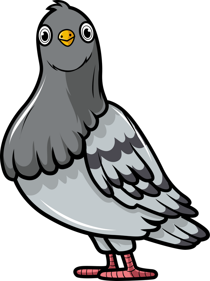 Cartoon Pigeon Illustration